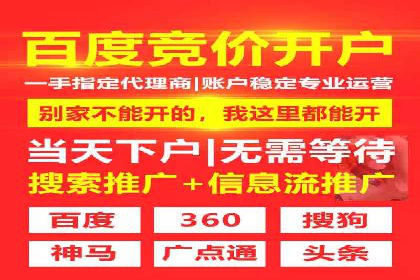 行业领先企业的网站sem托管实践